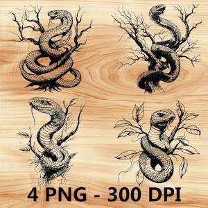 Serpiente víbora de árbol Serpiente venenosa Archivo láser Grabado en madera PNG Tabla de cortar para cocina Patrón de tablón Posavasos Xtool Glowforge LightBurn Diodo