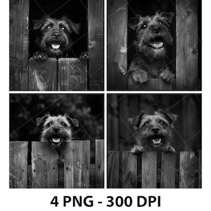 Border Terrier Dog Breed Portrait Laser Engraving File Slate PNG Coaster Xtool Wood Black White Grayscale Cnc Glowforge LightBurn CO2 Diode