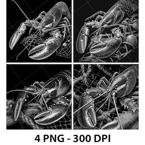 May include: Black and white image featuring four detailed illustrations of lobsters. Each lobster is depicted with intricate detail, set against a backdrop of fishing nets and ropes. The image includes the text "4 PNG - 300 DPI".