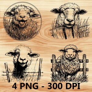 Schaf auf dem Bauernhof Wolle Schafschaf Rinderstall Laserdatei Holzstich PNG Küche Cut Hackenbrett Brettchen Muster Untersetzer Xtool Glowforge LightBurn CO2 2D