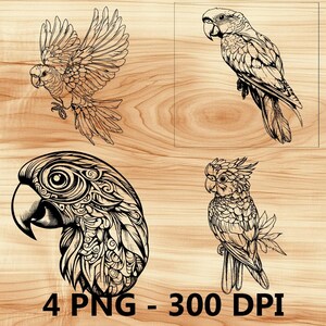 Cabeza de pájaro de loro, cacatúa de Macao, archivo láser, grabado en madera, PNG, corte de cocina, tabla de cortar, diseño de tablón, posavasos, grabado, Xtool, Glowforge, LightBurn, CO2
