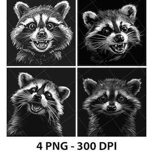 Mapache Mapache Panda rojo Civeta Archivo de grabado láser Pizarra PNG Posavasos Xtool Madera Negro Blanco Escala de grises Cnc Glowforge LightBurn Diodo de CO2 3D