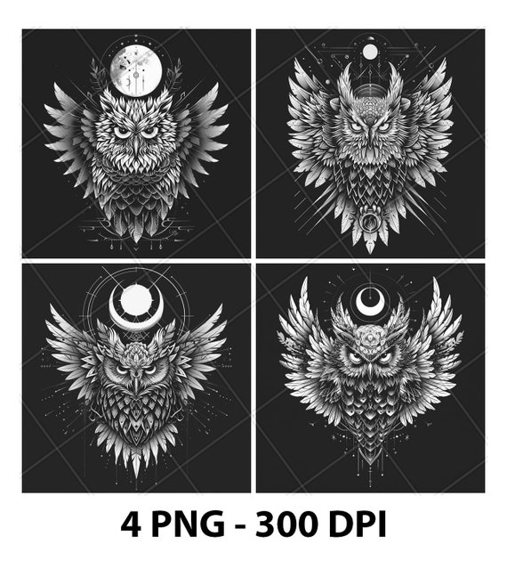 Artistic Owl Bird Image Design 2D Laser Engraving File Slate PNG
