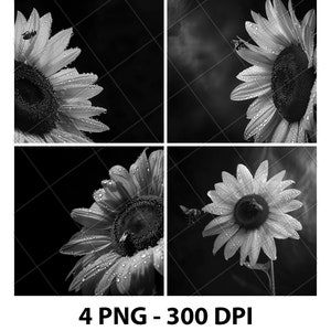 Sunflower Bee Flower Garden Bud Laser Engraving File Slate PNG Coaster Xtool Wood Black White Grayscale Cnc Glowforge LightBurn CO2 Diode 3D
