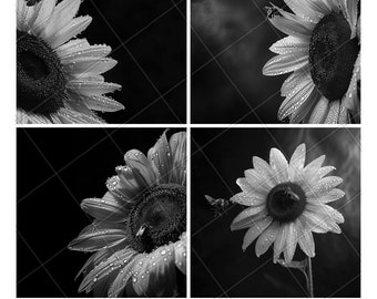Sunflower Bee Flower Garden Bud Laser Engraving File Slate PNG Coaster Xtool Wood Black White Grayscale Cnc Glowforge LightBurn CO2 Diode 3D