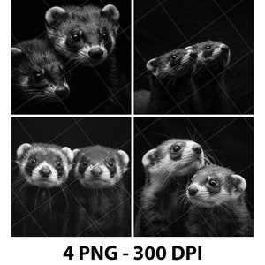 May include: Four black and white photos of ferrets. The ferrets are looking at the camera. The photos are arranged in a grid.