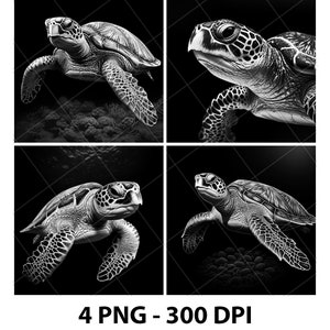 Op de afbeelding: Vier zwart-witte digitale illustraties van een zeeschildpad die in de oceaan zwemt. De schildpad kijkt in elke afbeelding naar de kijker. De schildpad zwemt in een donkere achtergrond met een lichtgrijs koraalrif op de bodem van de afbeelding.