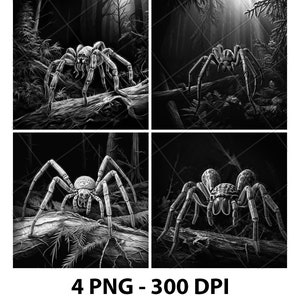 以下が含まれることがあります： 森を背景にした、4つの白黒のクモのイラスト。各画像は、詳細な脚と体の特徴を持つ、異なるクモが丸太や枝に止まっている様子を描いています。背景には、木々や葉のある暗い森が描かれています。「4 PNG - 300 DPI」のテキストが下にあります。