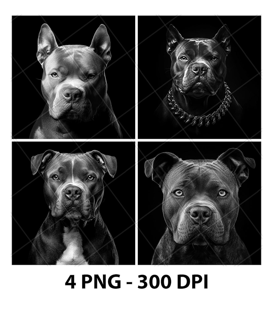 Pitbull Dog Breed Portrait Laser Engraving File Slate PNG Coaster Xtool ...