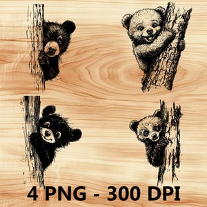 Lindo osezno bebé koala asomando Archivo láser Grabado en madera PNG Tabla de cortar para cocina Patrón de tablón Posavasos Xtool Glowforge LightBurn CO2 2D