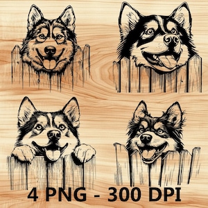 Perro husky asomándose, cerca, cachorro, archivo láser, grabado en madera, PNG, tabla de cortar para cocina, patrón de tablón, posavasos, diodo Xtool Glowforge LightBurn