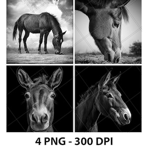 Maultier Kleines Pferd Esel Pony Portrait Laser Gravur Datei Schiefer PNG Untersetzer Xtool Holz Schwarz Weiß Graustufen Cnc Glowforge LightBurn CO2 3D