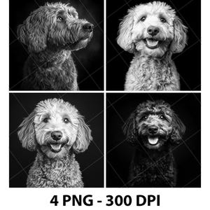 Labradoodle cane mix razza incisione laser file ardesia PNG Coaster Xtool legno nero bianco Cnc Glowforge LightBurn scala di grigi modello diodo CO2