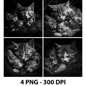 Gatti Gattini Dormire Riposo Pisolino Incisione Laser File Ardesia PNG Sottobicchiere Xtool Legno Nero Bianco Scala di grigi Cnc Glowforge LightBurn Diodo CO2