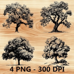 Roble viejo, enorme, madera dura, archivo láser, grabado en madera PNG, corte de cocina, tabla de cortar, diseño de tablón, posavasos, grabado Xtool Glowforge LightBurn CO2