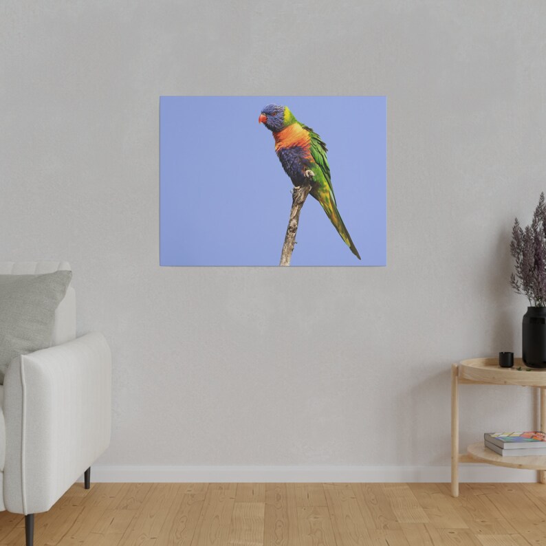Rainbow Lorikeet Nature Wall Art Bird Photography Print on Canvas Etsy