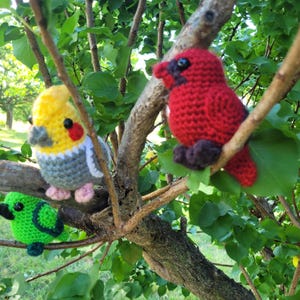 Vogels