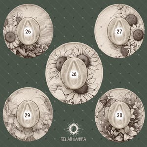 Op de afbeelding: Vijf cirkelvormige ontwerpen met bloemenillustraties en een centraal, ovaalvormig element met de nummers 26-30. De ontwerpen bevatten zonnebloemen, lelies en andere botanische elementen. De tekst "SOLAR UMBRA" staat onderaan.
