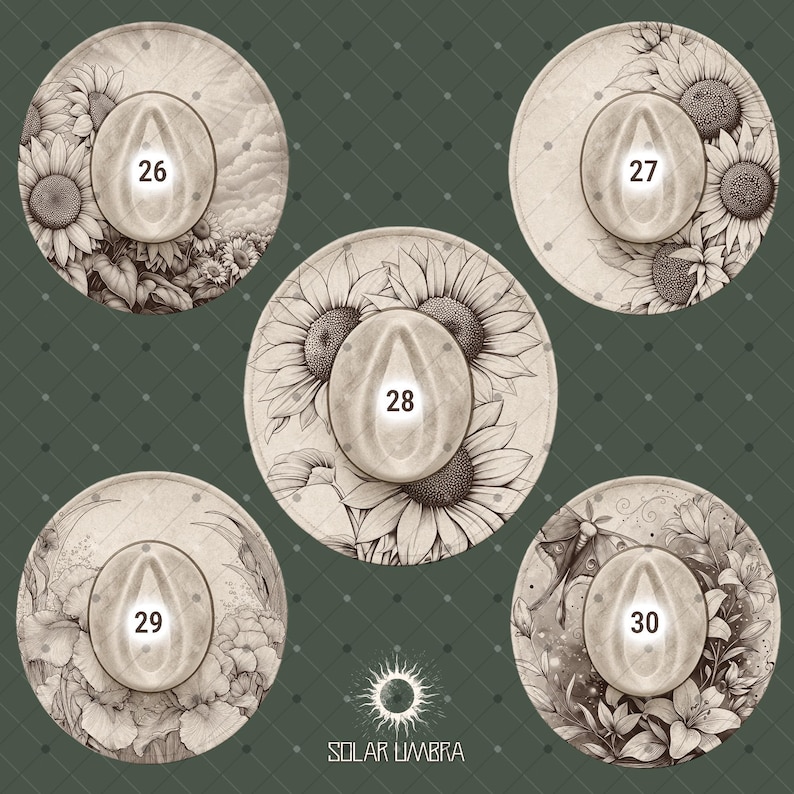 Op de afbeelding: Vijf cirkelvormige ontwerpen met bloemenillustraties en een centraal, ovaalvormig element met de nummers 26-30. De ontwerpen bevatten zonnebloemen, lelies en andere botanische elementen. De tekst "SOLAR UMBRA" staat onderaan.
