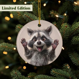 Raccoon Ornament, Woodland Animal Ornament, Baby Raccoon, Cute Raccoon Gift, Ceramic Ornament, 2 Sided Holiday Décor, Forest Animal