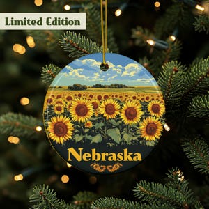 Nebraska Ornament, Nebraska Home Ornament, Nebraska Tree Ornament, State Ornament, Nebraska Décor, Nebraska Gift, Nebraska Souvenir, Ceramic