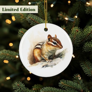 Chipmunk Ornament, Ceramic Chipmunk Décor, Woodland Chipmunk Decoration, Cute Chipmunk Gift, Double Sided, Chipmunk Hanging Ornament