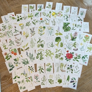 Gardening paper ephemera,Herbs,1996,Ephemera Bundle,scrapbooking,illustrations,decoupage,junk journal,smash book,collage,paper craft
