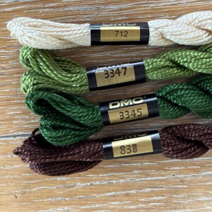 May include: Four skeins of DMC embroidery floss in various colors: cream, two shades of green, and brown. Each skein has a black label with gold lettering indicating the DMC brand and color number.