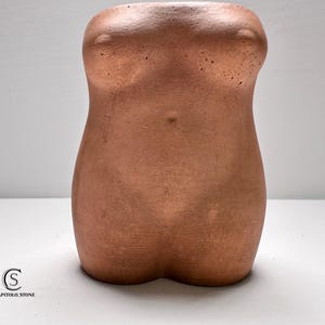 May include: A terracotta-colored, torso-shaped decorative vase. The vase is a solid form, with a smooth, textured surface. The design includes the upper chest, abdomen, and lower torso, with a rounded base. The vase is a unique piece of home decor.