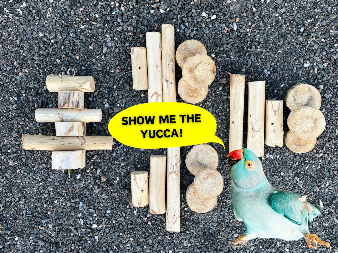 Show Me the YUCCA Wood Chew Toy With 3 Refills Parrot Gift Boredom
