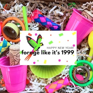Forage Like It’s 1999 Foraging Box Bird Toy Activity Tray PreAssembled Forage Flat Natural Bird Toy Conures Cockatiel Budgie New Year’s Gift
