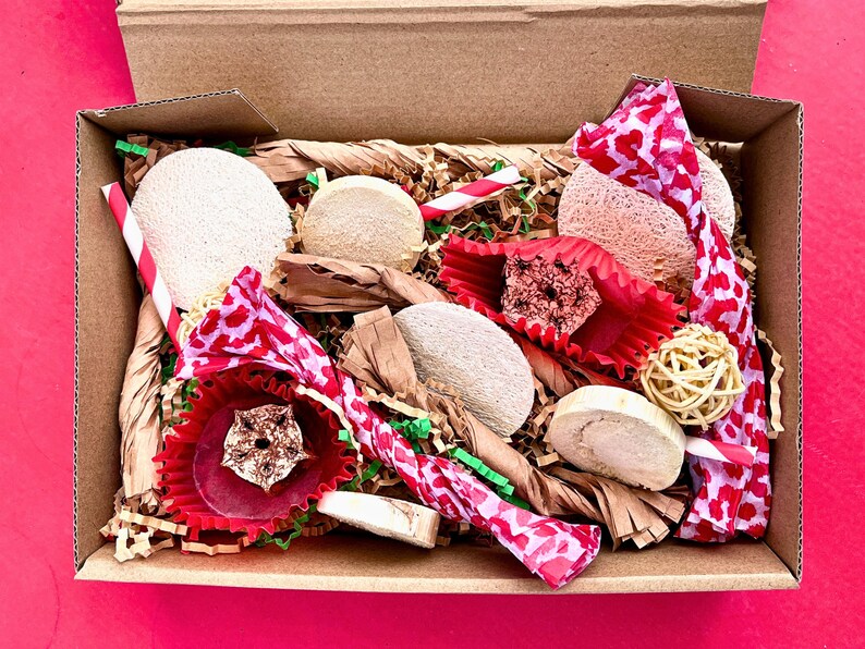 Natural Bird Forage Box for Parrots Gifts Foraging Activity With Conure