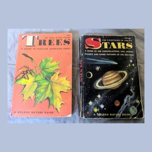 Könnte beinhalten: Ein Set aus drei Keramikbechern mit gesprenkelter, matter Oberfläche. Die Becher sind in den Farbtönen Creme, Hellbraun und Dunkelbraun gehalten. Jeder Becher hat ein schlichtes, minimalistisches Design und einen abgerundeten Griff.