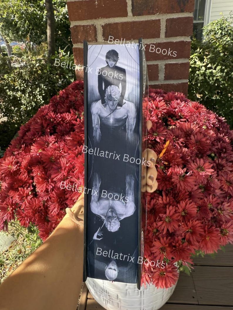 Puede incluir: Un libro negro con una ilustraci&oacute;n en escala de grises de dos figuras en el lomo. El texto "Bellatrix Books" se repite varias veces. El libro se sostiene frente a un fondo de flores rojas.