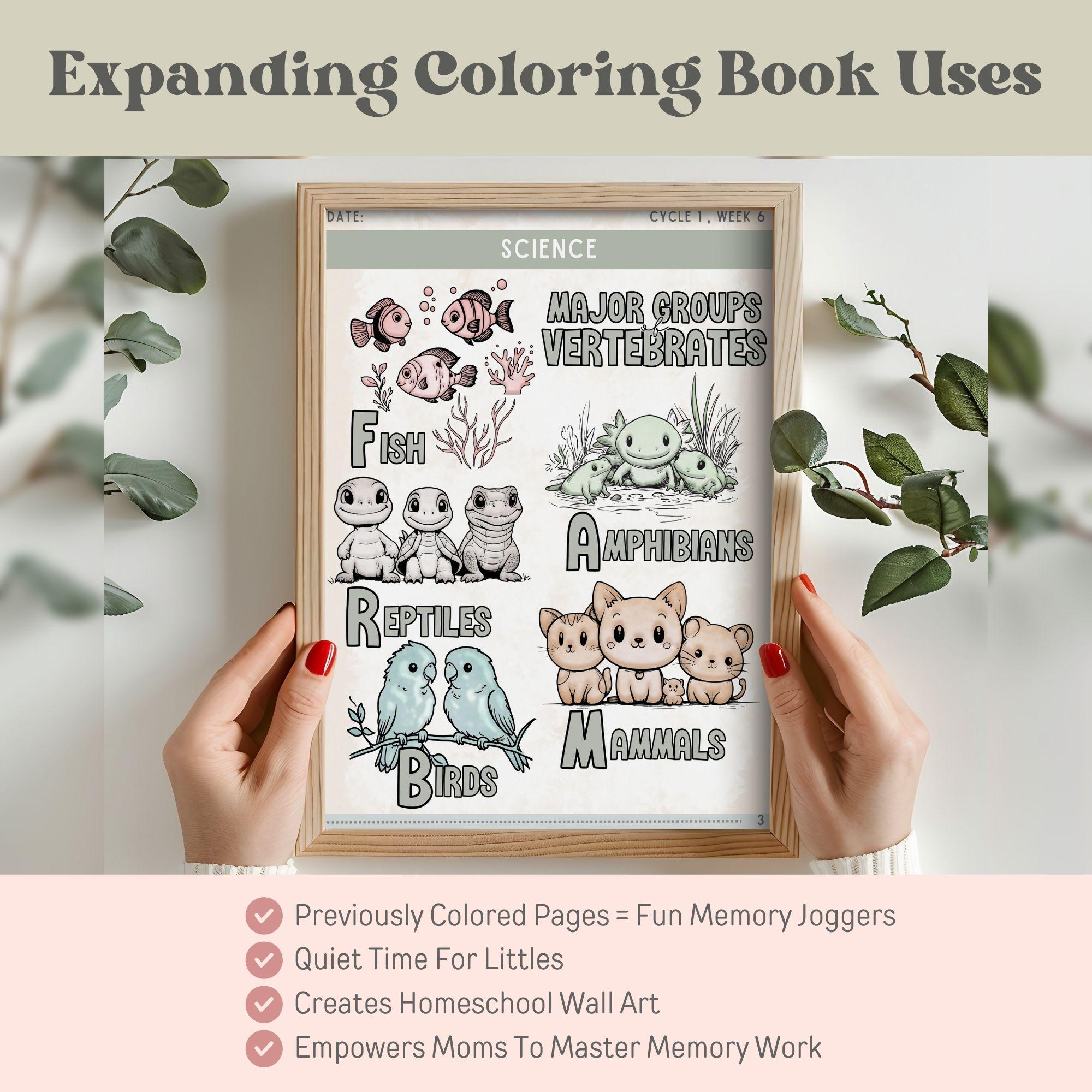 CC Cycle 1 Coloring Book Gift for CC Student Classical Conversations ...