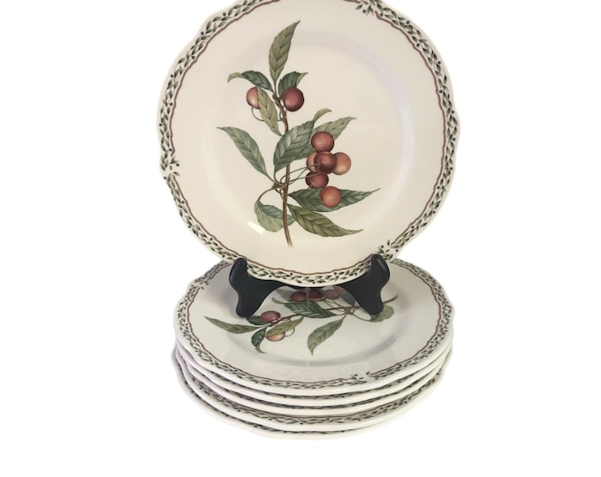 Noritake Royal Orchard Salad Plates | Set 6 | Vintage Primachina 9416 | Replacement China | Fruit Grape Olive Motif | Table Setting Hostess