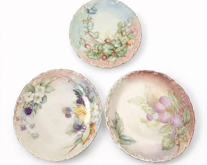 Hand Painted Plate Floral Fruit Vintage T & V Limoges France Set 3 Salad Dessert Antique Floral Gallery Wall Cottage Core Victorian Vintage
