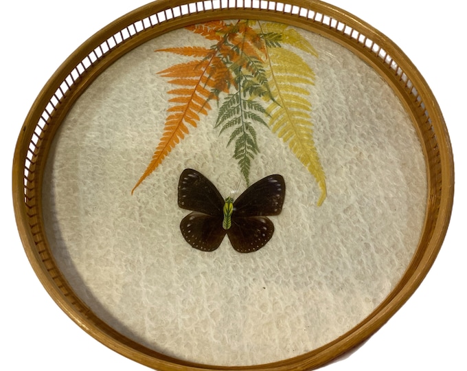 Boho |Vintage Rattan Pressed Butterfly  Fern Leaves | Serving Tray Vanity Tray