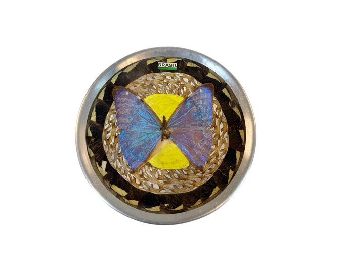 Taxidermy Wall Art | Bubble Glass Gem Rocks  - Morphos Nymphalidae Vintage Brazil Blue Butterfly | Gallery Home Decor Entomology Insect