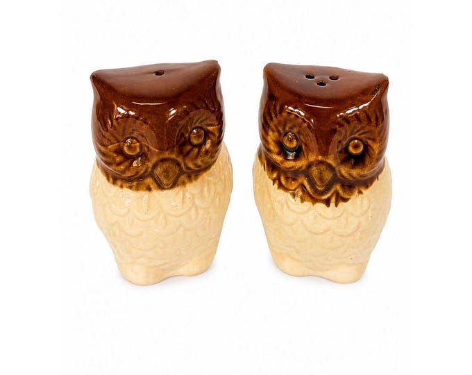 Pottery Owl Salt & Pepper Shakers  Brown Glaze Vintage Kitchenware Retro Collectible