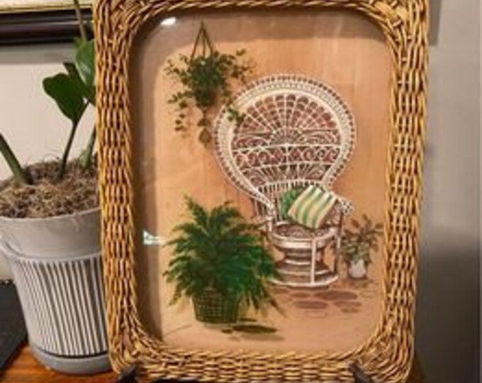 Vintage Homco Peacock Chair Faux Wicker Framed Shadow Box Picture ~ Boho Décor