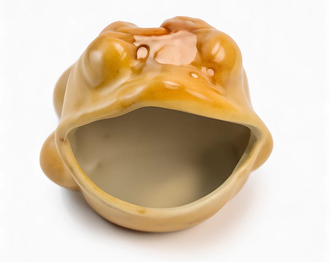 Frog Sponge Holder Scrubber Wide Mouth | Toad Ceramic Pottery Hand Painted | Sink Kitchen Decor | Mid Century Cottage Core Kitschy Granny