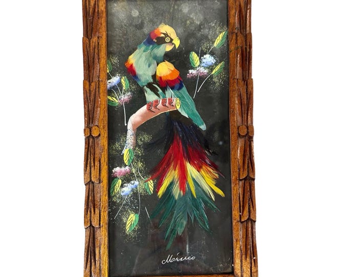 Feather Exotic Bird Parrot Wall Hanging Art Decor | Mexico Cedar Framed | Vintage Retro Colorful | Mexican Folk Art | Hand Painted Picture
