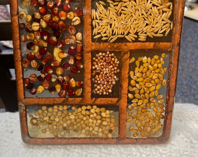 Acrylic Hot Plate Wall Hanging Trivet with Inlayed seeds by Gamut Designs