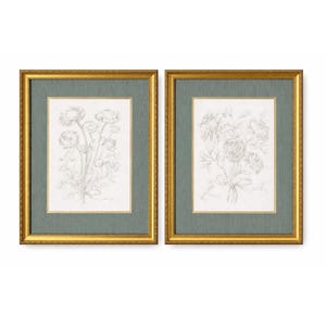 May include: Two framed botanical art prints. Each print features a detailed pencil sketch of flowers on a cream-colored background, set within a green mat and a gold-colored frame. The frames are rectangular and displayed side by side.