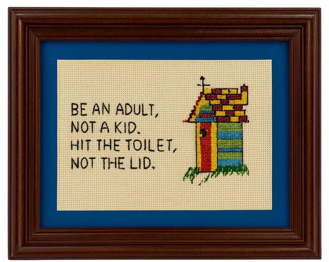Framed Cross Stitch Hit The Toilet Not The Lid Saying | Bathroom Humor Wall Decor