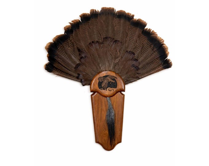 Hunting Mount Wild Turkey Hunt Trophy Tail Beard Mount 29” Wood Plaque Panel Taxidermy Trophy Fan Wooden Wall Cabin Man Cave Grandpa Core
