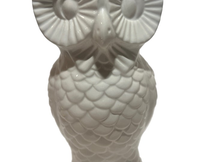 White | Porcelain Ceramic | Dolomite Owl Vase | Planter | Boho