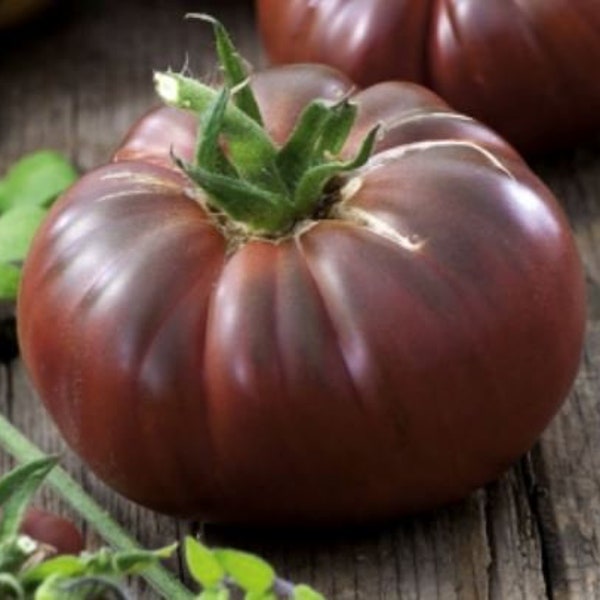 Tomate 'Noire de Crimee' - 5 Samen