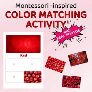 Atividade de correspondência de cores Montessori para impressão | Jogo de classificação de cores para crianças pequenas | Cartões de correspondência de cores para pré-escola | Páginas de livros educativos
